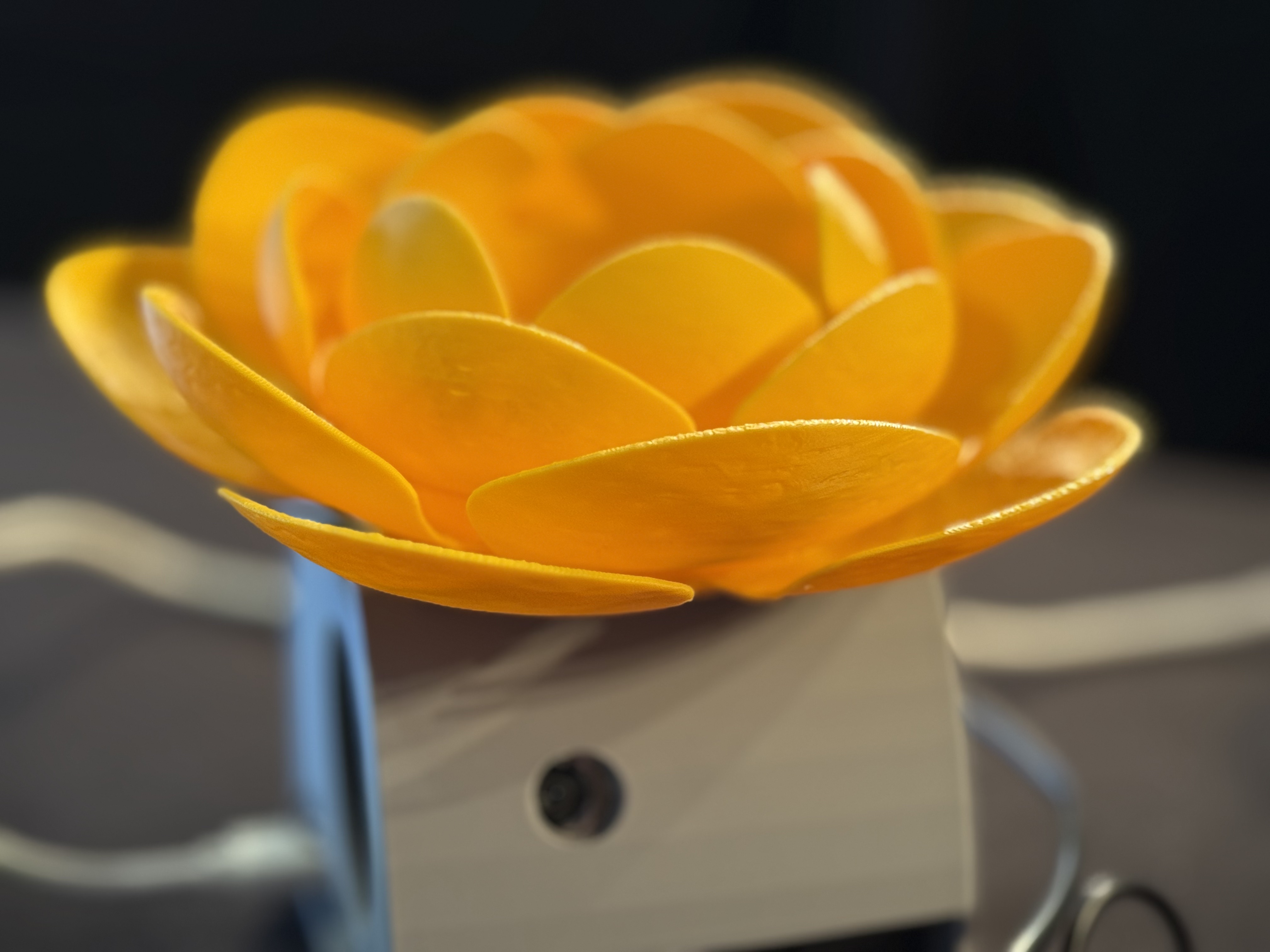 Lotus hub and leaf coasters