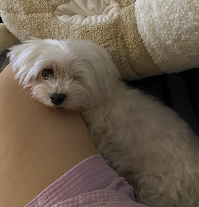 Mingki